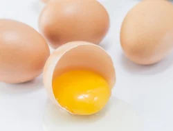 Jangan Remehkan Telur, Salah Satu Protein Hewani untuk Cegah Stunting Dalam Tubuh